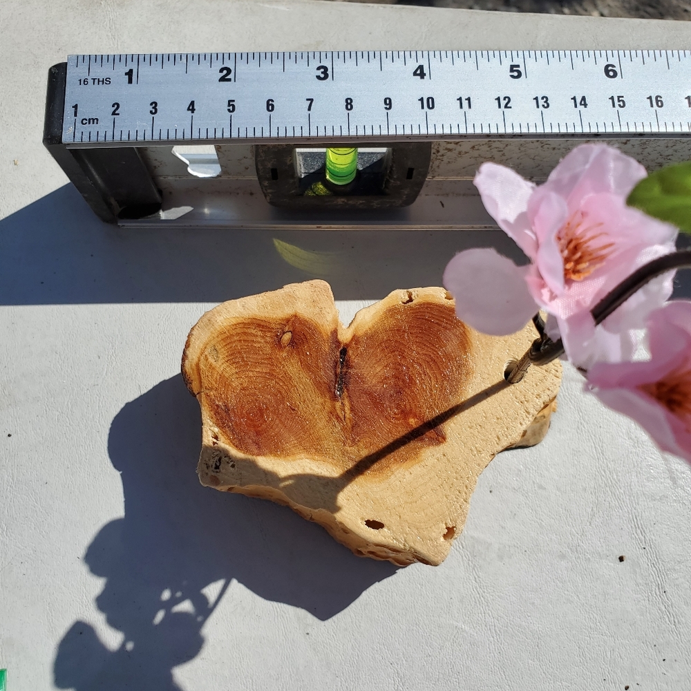 Naturally occurring heart